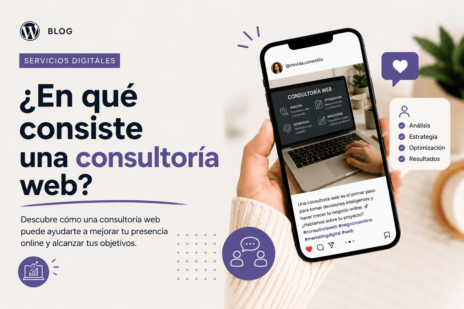 En que consiste una consultoria web